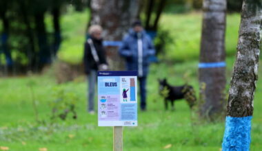 à quoi peut-on s’attendre en cas de crue extrême ? Ces arbres bleus vous le montrent