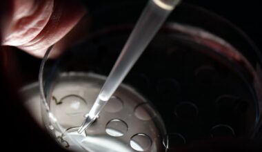 1 million d’euros pour la MIT, catalyseur de l’excellence en santé