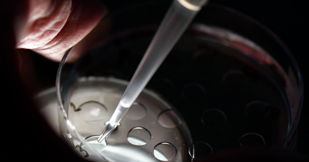 1 million d’euros pour la MIT, catalyseur de l’excellence en santé