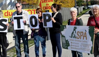 ils manifestent devant le Salon du chiot