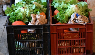 Saint-Étienne. Les médecins pourront prescrire des paniers de fruits et légumes bio aux femmes enceintes