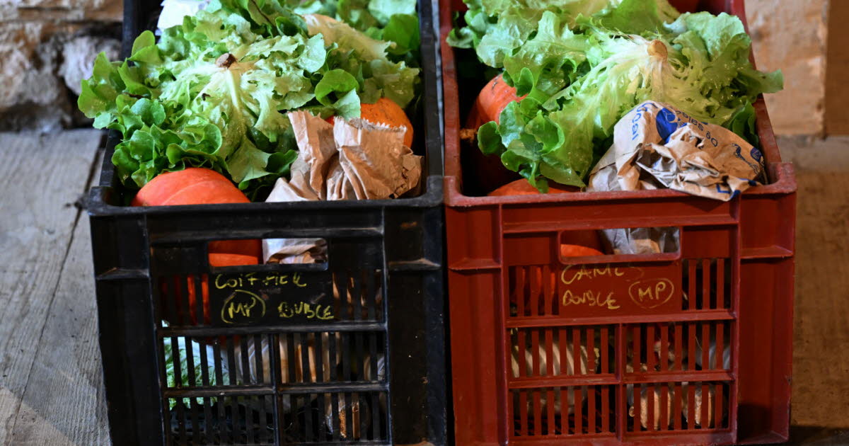 Saint-Étienne. Les médecins pourront prescrire des paniers de fruits et légumes bio aux femmes enceintes
