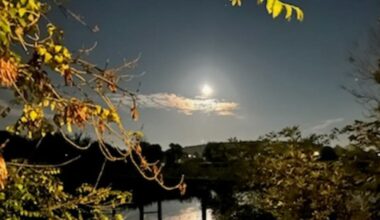 Laneuveville-devant-Nancy. Un débat pour sensibiliser à la pollution lumineuse