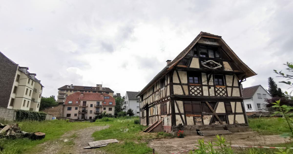 c'est vous qui le dites