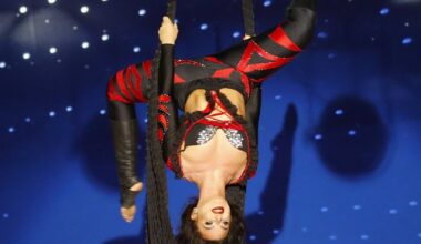 Lyon. Le cirque Medrano s’installe place Jean-Jaurès jusqu’au 23 novembre