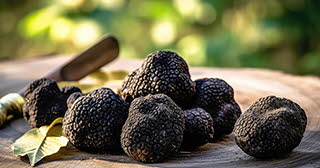 28ème Fête de la truffe à Pulnoy