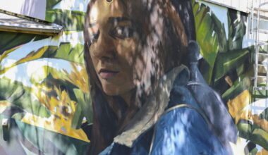 Seyssinet-Pariset. Voyage mural en tramway de Grenoble à Seyssinet-Pariset