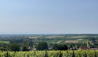 Strasbourg. Un manifeste pour une Europe viticole à la croisée des chemins