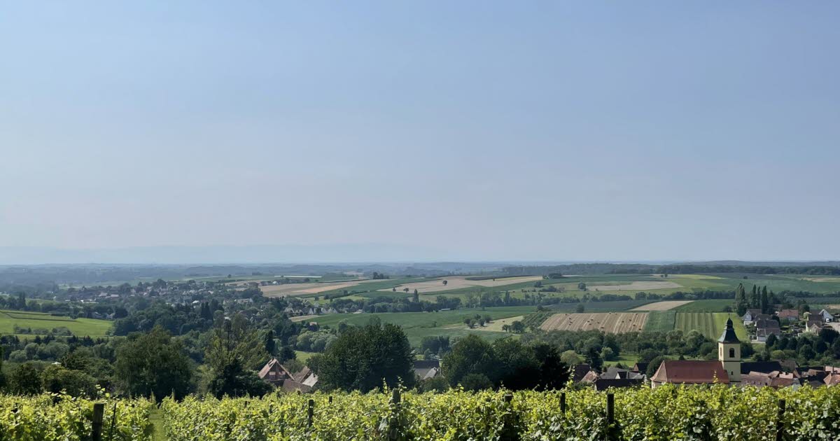 Strasbourg. Un manifeste pour une Europe viticole à la croisée des chemins