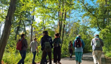 La Wantzenau. Le saviez-vous ? La forêt est « tropicale », Alsace Nature nous explique pourquoi