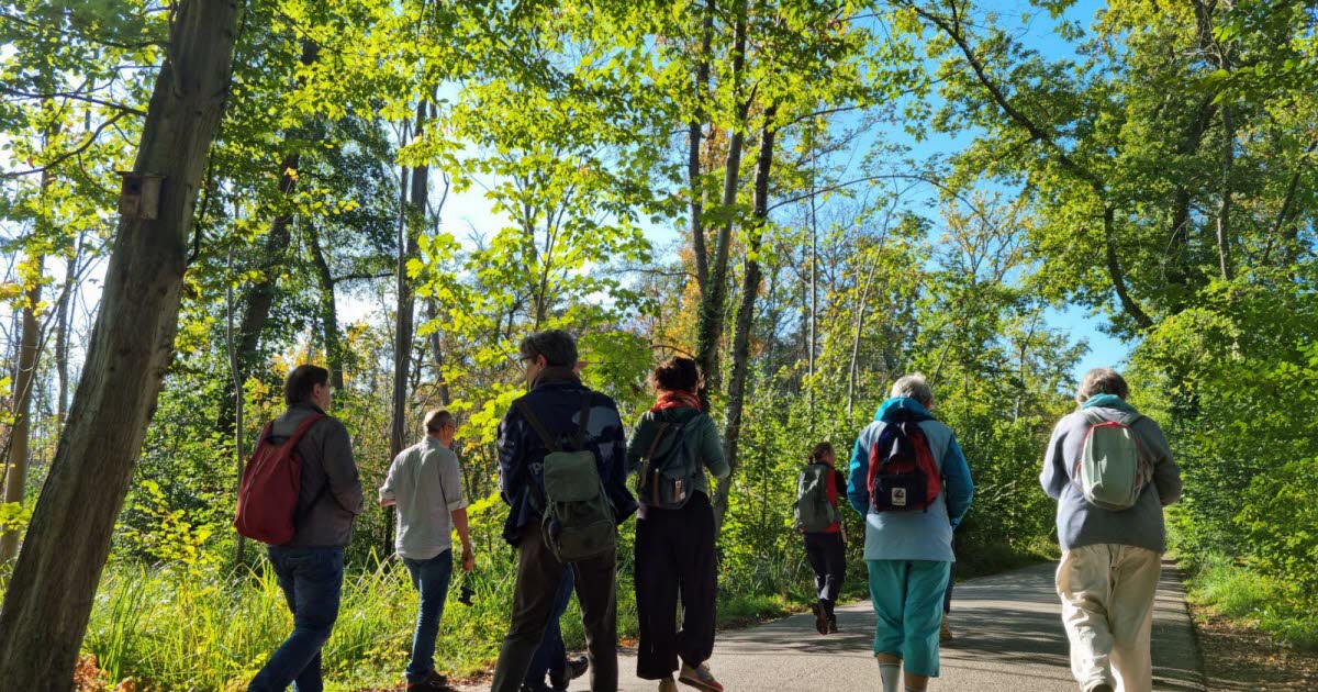La Wantzenau. Le saviez-vous ? La forêt est « tropicale », Alsace Nature nous explique pourquoi