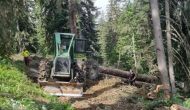 Région d’Albertville. Une charte forestière pour préserver les ressources du territoire