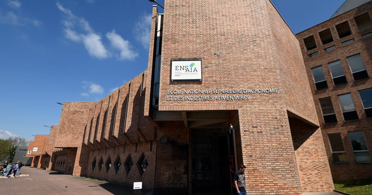 Vandœuvre-lès-Nancy. Inquiétudes sur la qualité de l’air à l’Ensaia, l’Université rassure