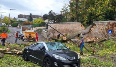 un arbre cède sous les bourrasques