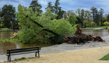 Métropole de Grenoble. Le parc Bachelard saccagé par la tempête Benjamin ; des dégats à Vif, Corenc ou Échirolles