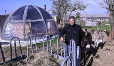 on a testé pour vous une immersion à la ferme