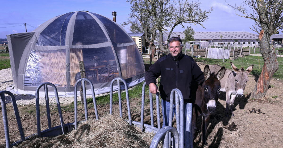 on a testé pour vous une immersion à la ferme