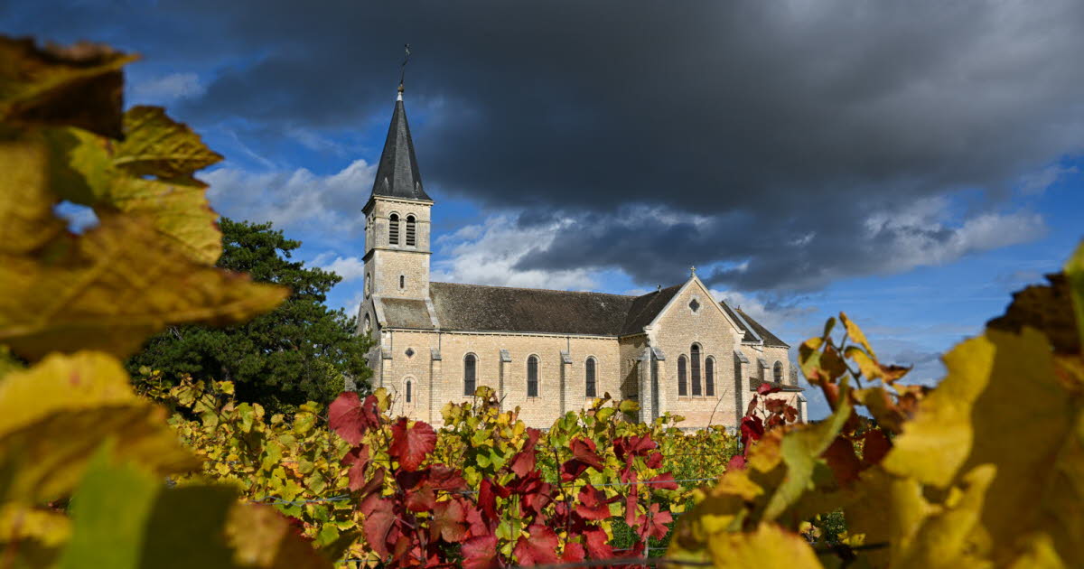 Hello Ketty. Les images décalées de la semaine dans l'objectif de notre photographe