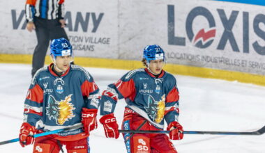 Hockey sur glace - Ligue Magnus. Brûleurs de loups : bientôt dauphins… ou leaders ?