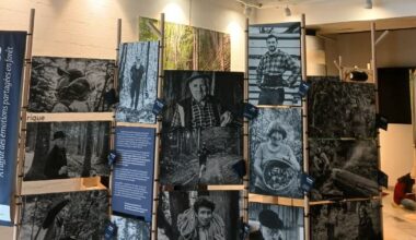 les émotions partagées en forêt