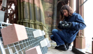 Strasbourg. La recherche au secours de la cathédrale