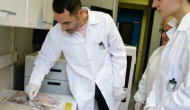 Strasbourg. Une équipe de chercheurs sonde les déchets radioactifs des abysses de l’Atlantique