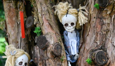 Meurthe-et-Moselle. Pour Halloween, les pirates à l’abordage du jardin botanique Jean-Marie Pelt