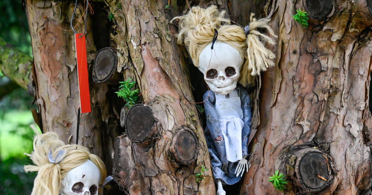 Meurthe-et-Moselle. Pour Halloween, les pirates à l’abordage du jardin botanique Jean-Marie Pelt