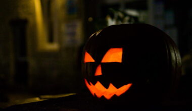 Saint-Étienne classé 6e ville la plus hantée de France