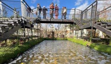 Derniers jours pour visiter le Jardin éphémère