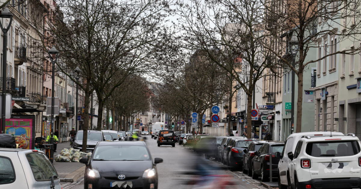 Strasbourg. Percutée par un automobiliste et blessée, une jeune femme porte plainte contre X