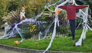 des décorations sèment la discorde dans la commune