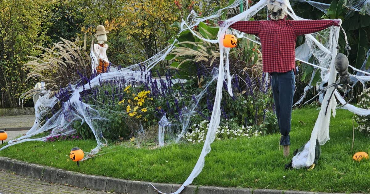 des décorations sèment la discorde dans la commune