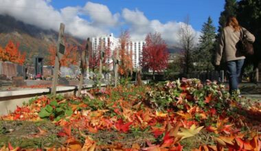 Métropole de Grenoble. Ils se mobilisent pour que l’oubli ne tue pas deux fois : « au moins, il n’est pas mort comme un chien »