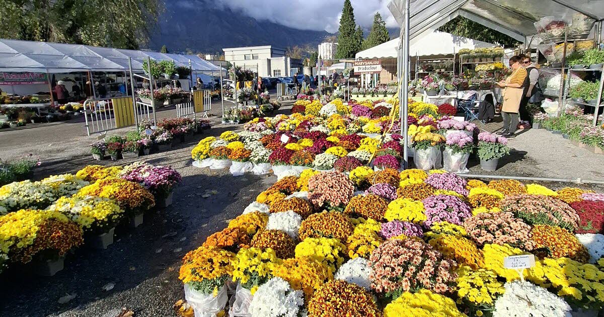 La Tronche. Un étalage de fleurs colorées sur le parking du cimetière Grand Sablon