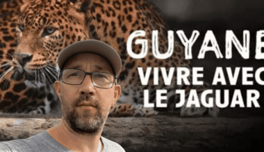 un film sur la fragile frontière entre l’homme et le sauvage en Guyane