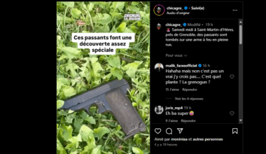 Près de Grenoble. Des passants tombent nez à nez avec un objet "spécial" en pleine rue