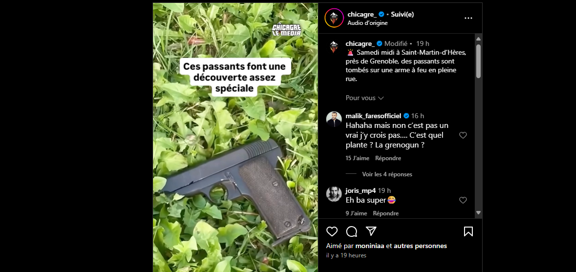 Près de Grenoble. Des passants tombent nez à nez avec un objet "spécial" en pleine rue