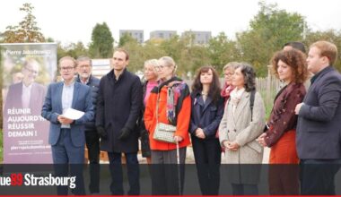 Strasbourg. Pierre Jakubowicz veut nommer des maires de quartiers