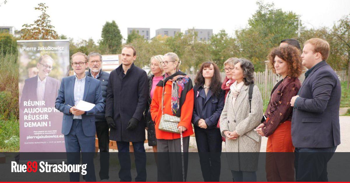 Strasbourg. Pierre Jakubowicz veut nommer des maires de quartiers