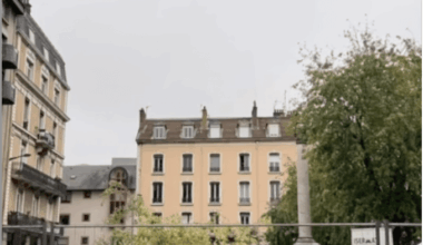 L'ABATTAGE DES ÉRABLES DE LA PLACE DE METZ APRÈS TANT D'ARBRES À GRENOBLE