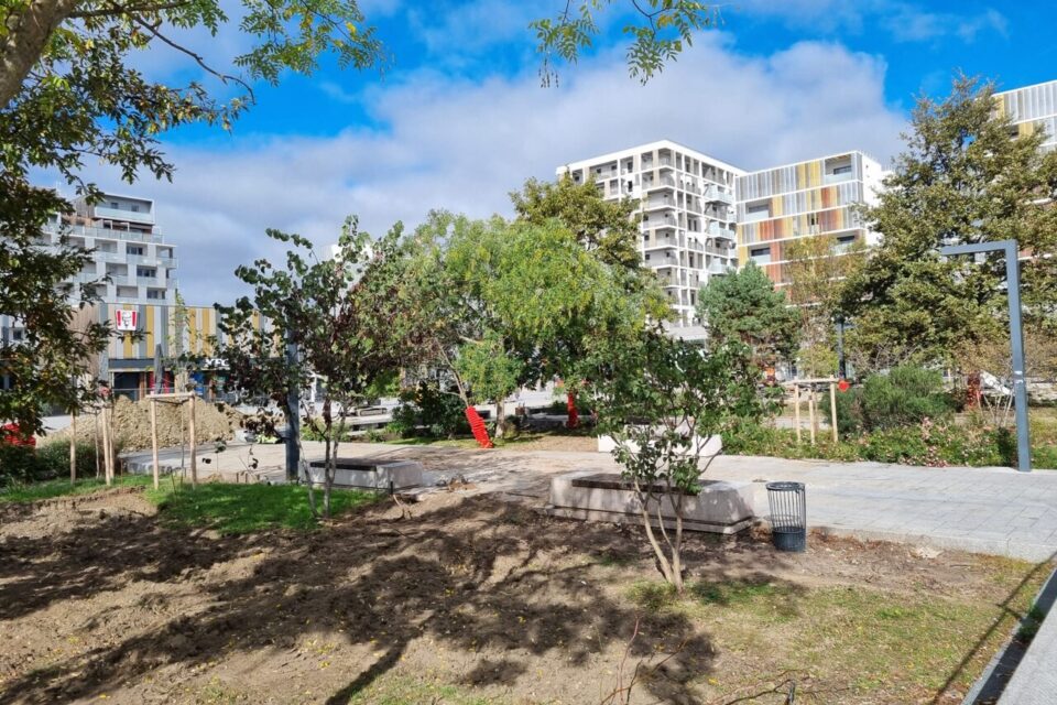 De nouvelles plantations sont prévues sur le carré de la maourine.