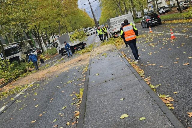 Un arbre tombé sur la route a perturbé la circulation à Pont-de-Claix, jeudi matin. (© Document remis à actu Grenoble / Dylan Demontis)