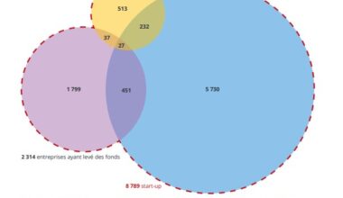 Portrait-robot des start-up franciliennes - Île-de-France