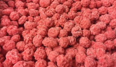 Un mythe lyonnais s'effondre : la célèbre praline rose n'est pas née à Lyon !