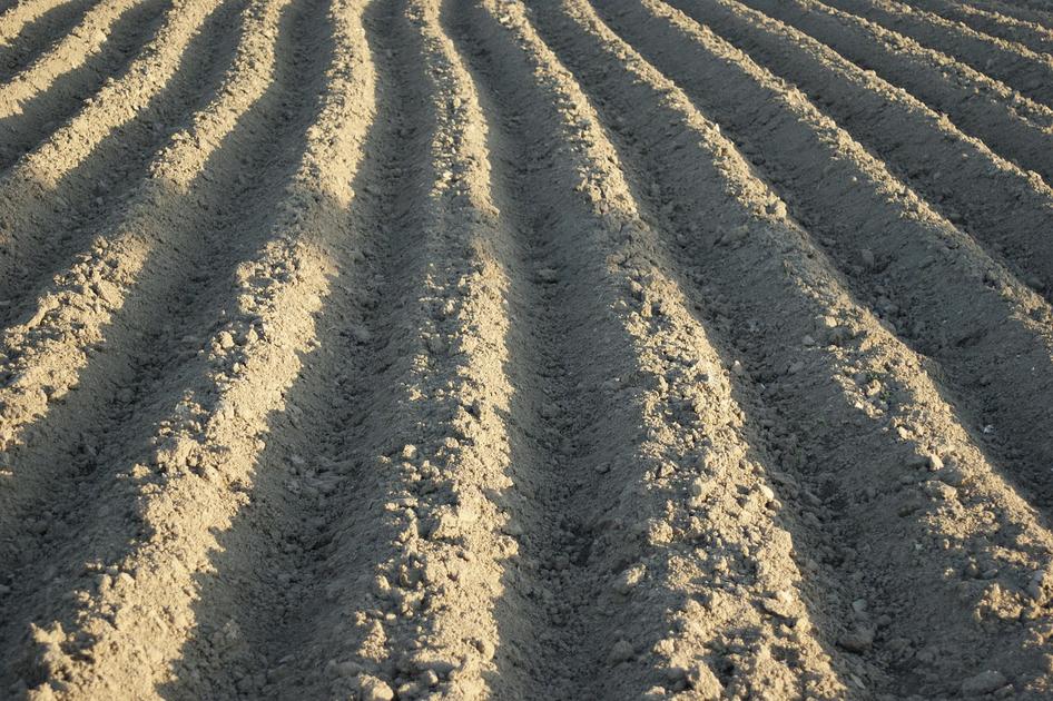 Gestion des sols | NatUp lance « Diagnostic Sol » pour accompagner ses adhérents dans la gestion de la fertilité des terres