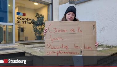 Strasbourg. En grève de la faim, Vanessa se bat "pour la dignité des enseignants"