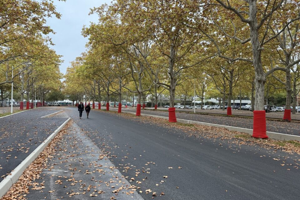 Les futurs quais de la gare routière provisoire. 