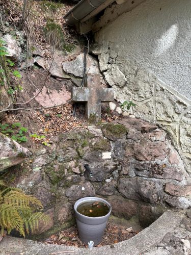Randonnée forêt vallée de la bruche  (10)