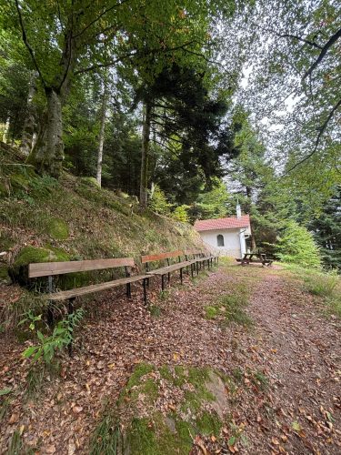 Randonnée forêt vallée de la bruche  (15)
